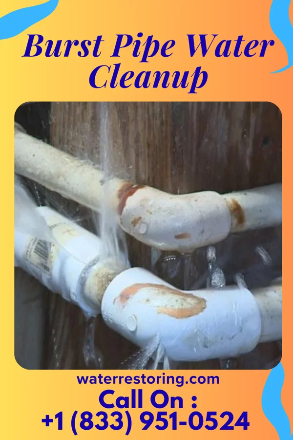 Burst Pipe Water Cleanup in Willow, OK
